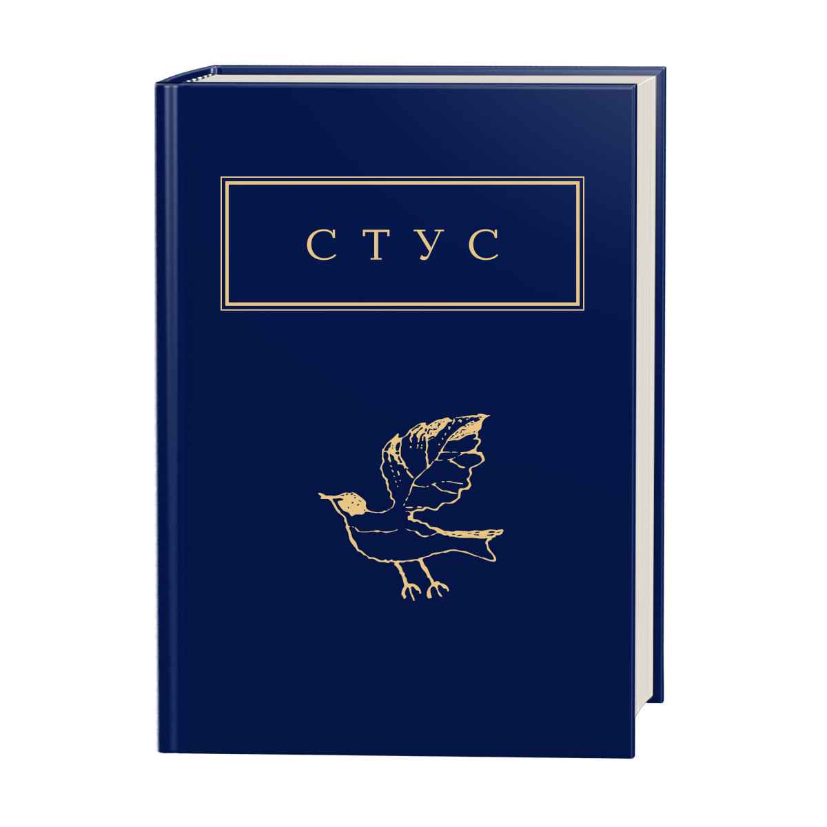 Палімпсести. Автор Василь Стус, фото 1