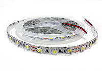 Светодиодная лента MRW LED 5050 SMD 60 d/m белая (бухта 5м)