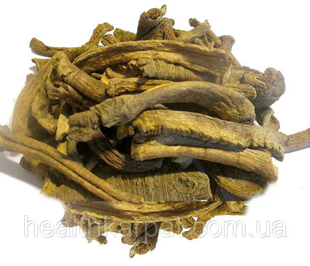 Тирліч (Горечавка) жовтий кореневище 500 грамм, фото 1