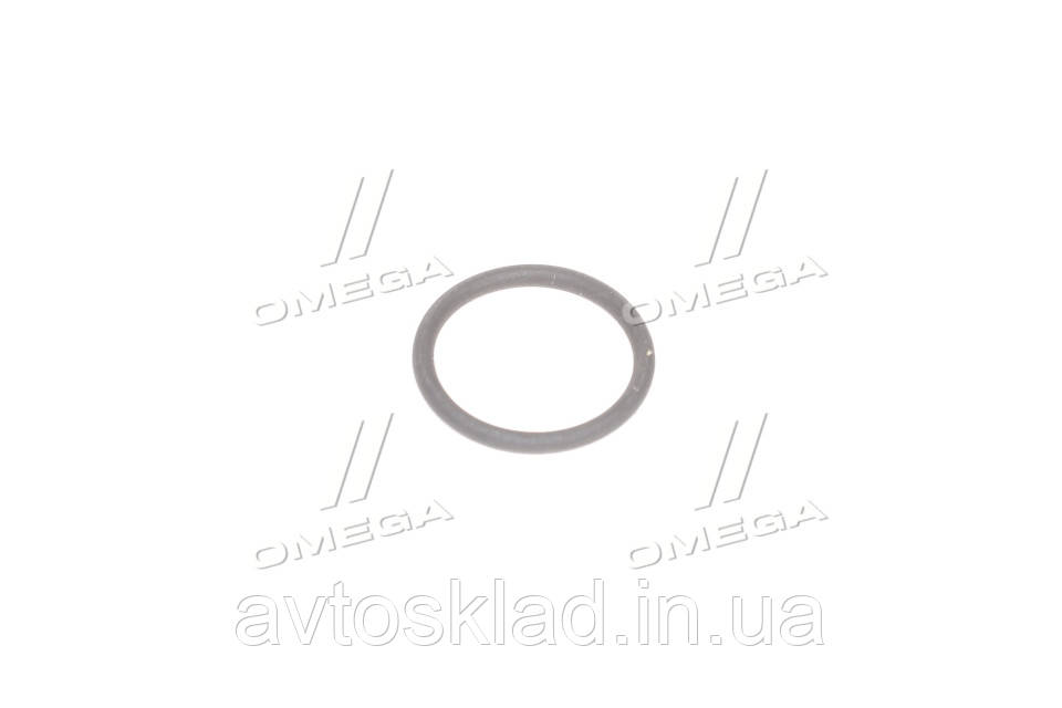 Уплотнительное кольцо, резьбовая пр (пр-во Elring) 476.750 (skl-dp) - фото 1 - id-p1743513722