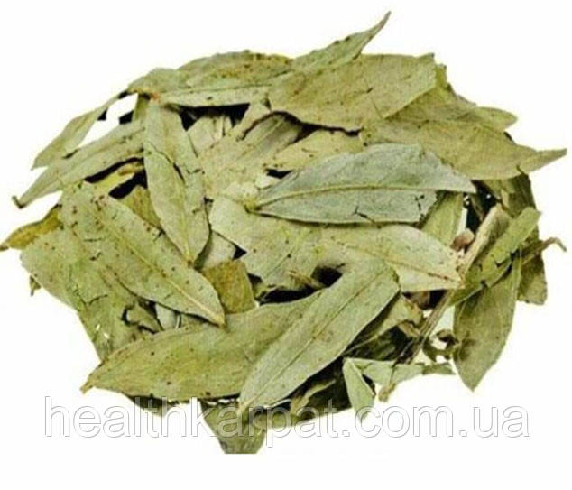 Сенна лист 50 грамм, фото 1