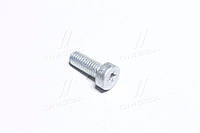 ГВИНТ SH cap screw (пр-во BOSCH) 2912738197 (skl-dp)