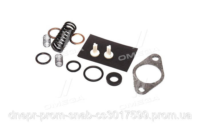 Купити Ремкомплект ТННД КамАЗ-740,-7403 (підкачування) (вир-во Україна ...