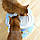 Керамічна поїлка-фонтан для кішок або маленьких собак Lucky Kitty (1,5 л), фото 4