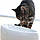 Керамічна поїлка-фонтан для кішок або маленьких собак Lucky Kitty (1,5 л), фото 3