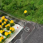 Квіти для клумб, комплект 20 шт. для діорам, підставок, мініатюр, фото 8