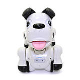 Іграшковий Собака на радіоуправлінні Shantou Jinxing Такса білий інтерактивний 35*20*14 см (777-603), фото 5