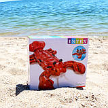 Надувний матрац-плотик Intex "Лобстер" 213х137 см (57533), фото 2