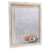 Картина за номерами ідейка «Макова поляна» 40x50 см (КНО3579), фото 4