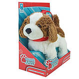 М'яка інтерактивна іграшка «Кращий друг» Країна Іграшок, біло-коричнева, собачка з повідком, лає, ходить, виляя хвостом, в кор., фото 2