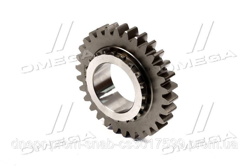 Шестерня ведущая редуктора ТМ JUBANA 70-1721031 (skl-dp) (ID#1521388384 ...