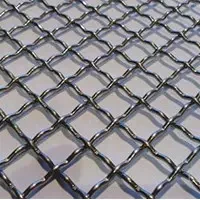 Сітка канілірована 25х25х3,5мм 2*1,0 м, фото 1