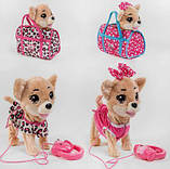 Собачка в сумці С 45309 (48) 2 види, д/в, на батарейках, ходить, виляє хвостиком, 3 пісні українською мовою, в, фото 3