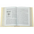 Книга подарункова шкіряна "Українська література Творці і Твори", фото 6