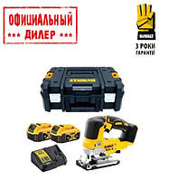 Пила лобзиковая аккумуляторная DeWALT DCS334P2 Топ 3776563