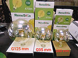 Світлодіодна лампа розжарювання RENESOLA-потужність 5,5W-G95-E27-2700K, фото 4