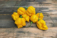 Семена перца Каролина Рипер (Carolina Reaper) желтый (yellow)