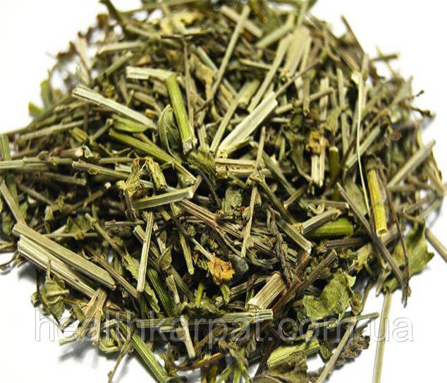 Вербена трава 500 грамм, фото 1