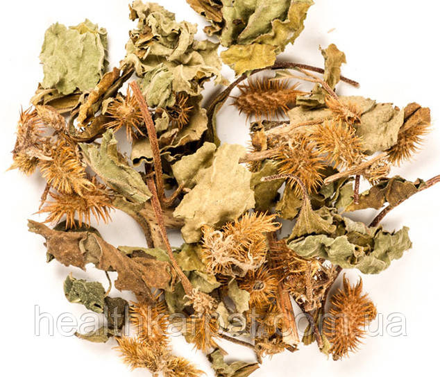 Дурнишник звичайний (Нетреба звичайна) трава 500 грамм, фото 1