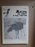 Жизнь на снегу и под снегом. Г. А. Новиков. 1981 год