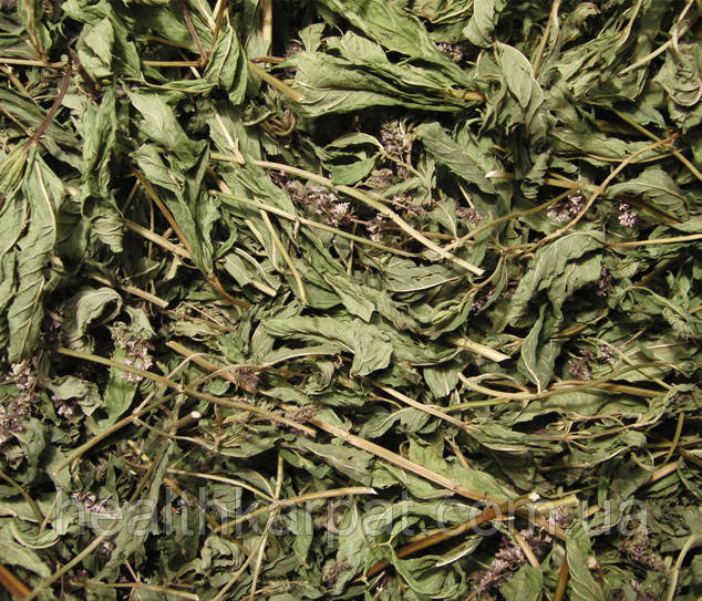 Лофант тибетська трава 500 грамм, фото 1