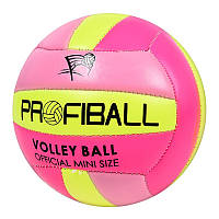 М'яч волейбольний Profi EV-3159-1 2 розмір