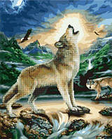 Картина по номерам + Алмазная мозаика "Волк при луне" [tsi155497-TSI]