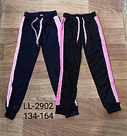 Спортивные штаны для девочек, Sinsare, 140 см, № LL-2902