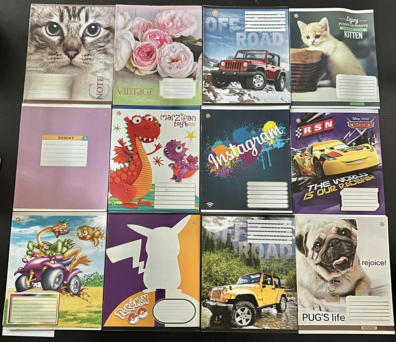 Набір зошитів 12арк. лінія ЗУ, уп.25шт. РОЗПРОДАЖ ЗАЛИШКІВ mix