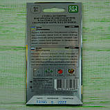 Диня Криничанка 2 г Seedera, фото 2