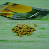 Диня Криничанка 2 г Seedera, фото 4