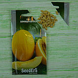 Диня Криничанка 2 г Seedera, фото 3