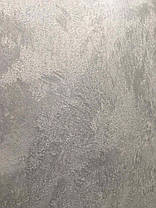 Декоративна штукатурка для стін і стелі, ТМ DECORATOR ALUMINUM, фото 3