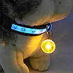 Світний LED-брелок жовтий на карабіні для собак на нашийник із батарейкою, фото 2