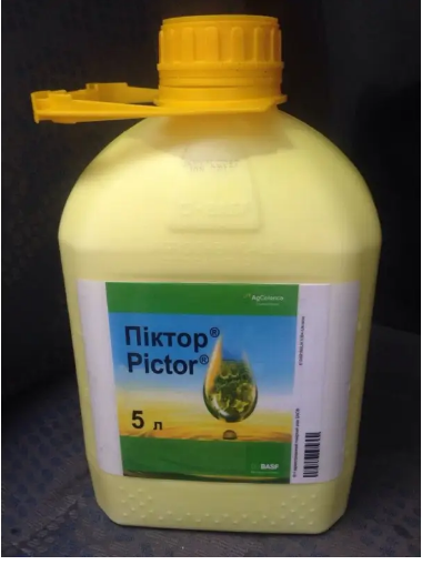 Фунгіцид Піктор BASF (5 л.)