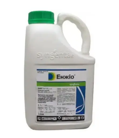 Інсектицид Енжіо Syngenta 5л.