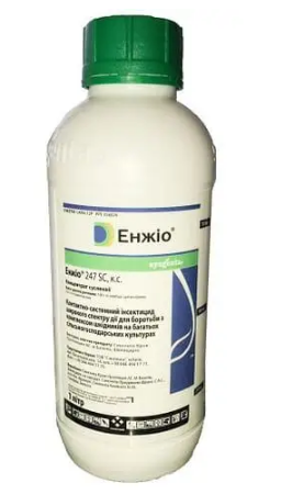 Інсектицид Енжіо Syngenta 1л.
