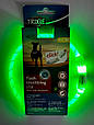 Нашийник світлодіодний для маленьких собак (USB) Trixie, фото 2