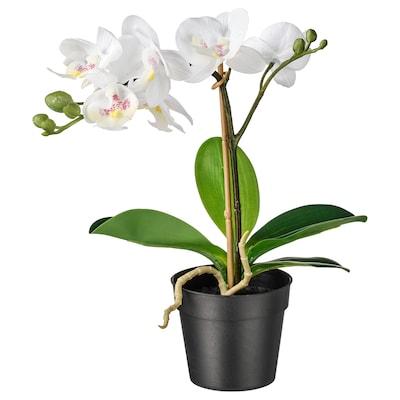 Штучна рослина IKEA FEJKA (ІКЕА ФЕЙКА). 00285908. Біла орхідея