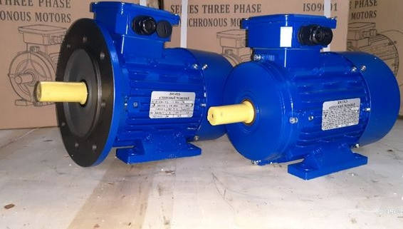 Електродвигуни загальнопромислові АИР100L8У2 1.5 кВт, 750 об/хв ІМ 1081, фото 2