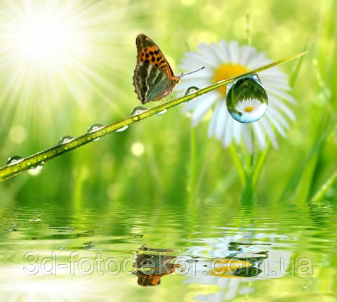 Фотообои "Бабочка над водой" - Любой размер! Читаем описание! - фото 1 - id-p291387933