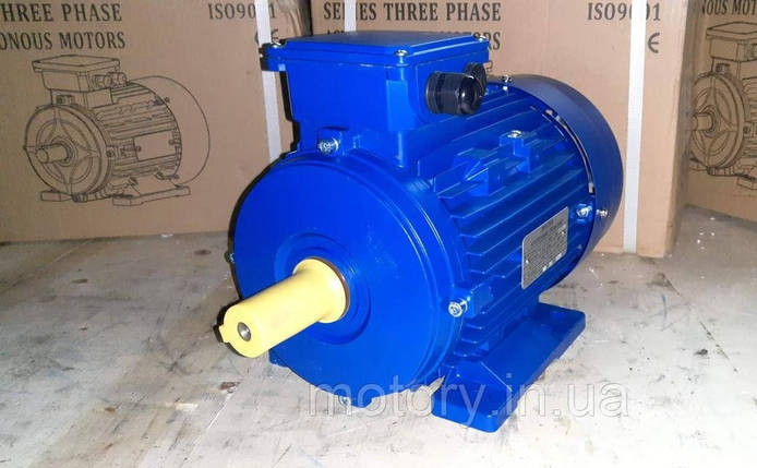 Електродвигуни АИР100L6 2.2 кВт 1000 об/хв 220/380в В3, фото 1