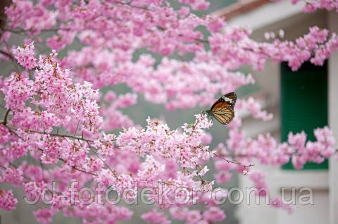 Фотообои "Цветущие ветви и бабочка" - Любой размер! Читаем описание! - фото 1 - id-p291427117