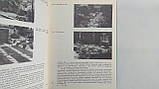 Мітт Л. Присадибне декоративне садівництво. Б/у., фото 8