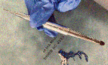 Пензель для дизайну Saga № 9, двосторонній, штучний ворс