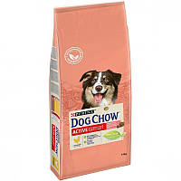 Purina Dog Chow Active Adult Chicken 14 кг / Пурина Дог Чау Актив Курица - корм для собак