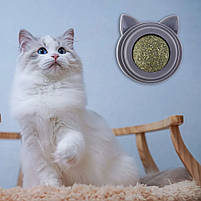 Котяча м'ята іграшка смаколик лизун для котів Котя сіра, фото 4
