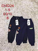 Спортивні штани на хлопчиків гуртом, S&D,1-5 рр.