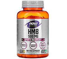 HMB 500 mg NOW, 120 капсул