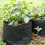Grow Bag 10 літрів Горщики з агроволокна для вирощування рослин (щільність 50 г/м2), фото 6